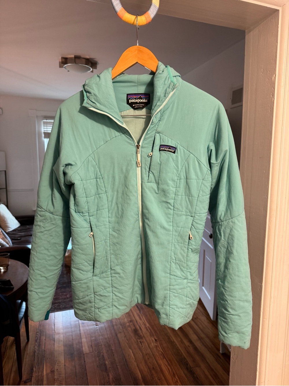 Patagonia Women's Nano Air Hoody